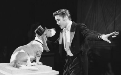 Hound Dog – Elvis Presley