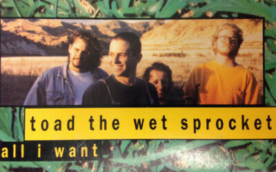 ALL I WANT by Toad the Wet Sprocket