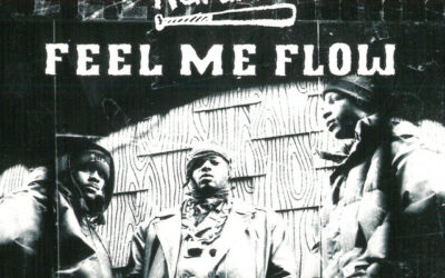 FEEL ME FLOW by Naughty by Nature